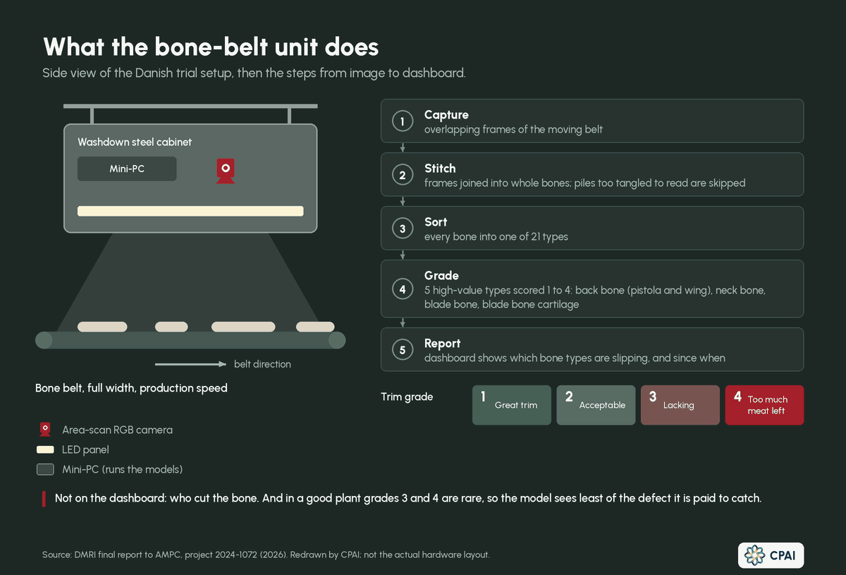 Diagram of the bone-belt unit. A steel cabinet holding an RGB area-scan camera, an LED panel and a mini-PC hangs over the bone belt. Five steps follow: capture overlapping frames, stitch them into whole bones, sort them into 21 types, grade five high-value types from 1 (great trim) to 4 (too much meat left), and show trends on a dashboard.