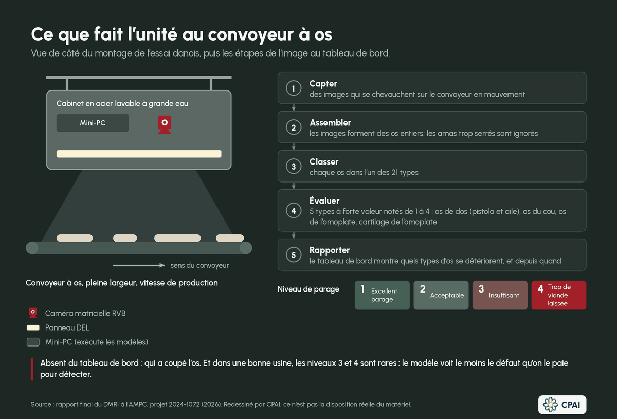Schéma de l’unité au convoyeur à os. Un cabinet en acier contenant une caméra matricielle RVB, un panneau DEL et un mini-PC est suspendu au-dessus du convoyeur. Cinq étapes suivent : capter des images qui se chevauchent, les assembler en os entiers, classer les os en 21 types, noter cinq types à forte valeur de 1 (excellent parage) à 4 (trop de viande laissée) et afficher les tendances au tableau de bord.