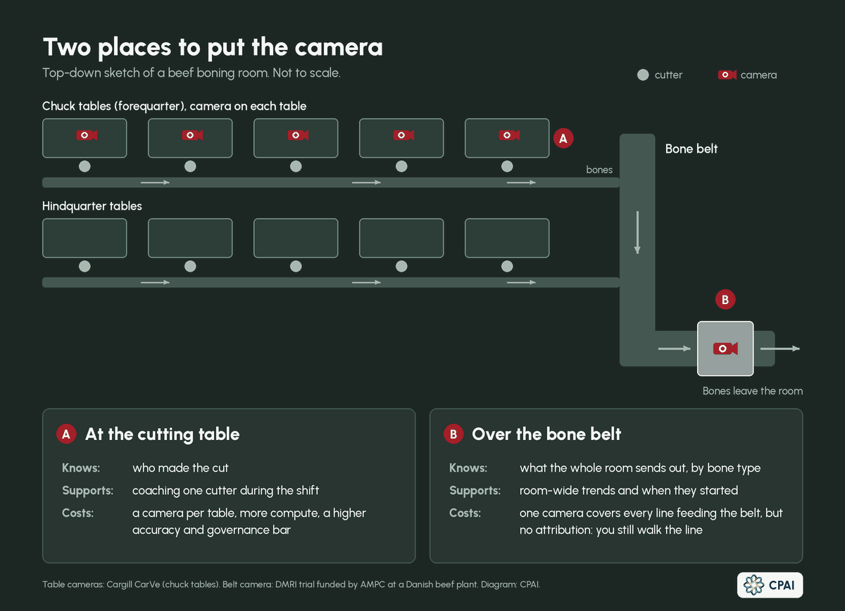 Top-down diagram of a beef boning room. Five chuck tables, each with a camera, and five hindquarter tables without cameras send bones on two conveyors into one bone belt. A single camera in a steel cabinet over the belt watches bones leave the room. Two panels compare what each camera knows, supports and costs.