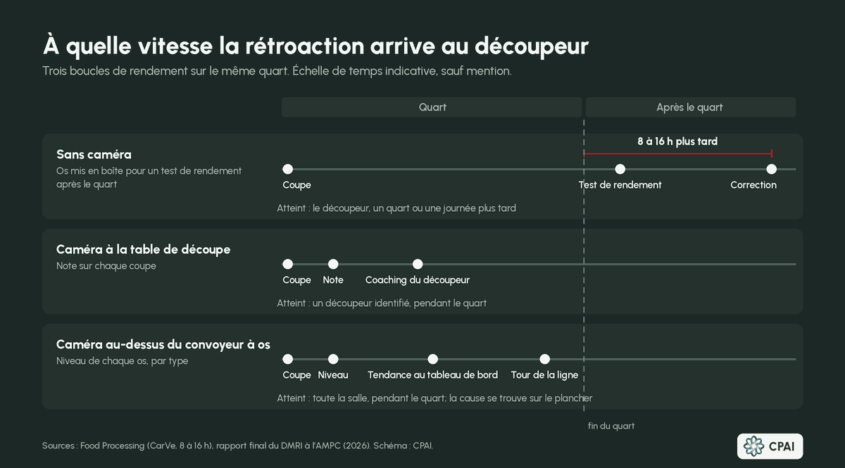 Schéma chronologique de trois boucles de rétroaction sur le rendement. Sans caméra, les os sont mis en boîte et un test de rendement après le quart envoie une correction 8 à 16 heures plus tard. Avec une caméra à la table, chaque coupe reçoit une note et le découpeur est coaché pendant le quart. Avec une caméra au convoyeur à os, chaque os reçoit un niveau, une tendance s’affiche au tableau de bord et l’équipe fait le tour de la ligne, le tout pendant le quart.
